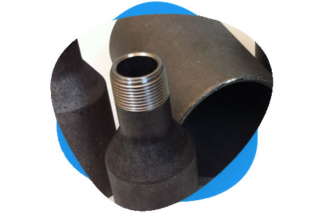 ASTM A694 CS Threaded & Socket Weld Nipple