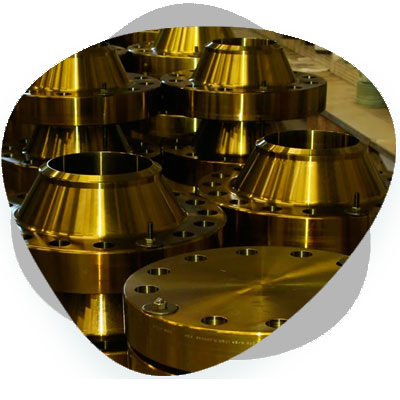 Cupro Nickel Flanges Products