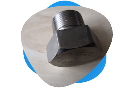 Super Duplex 2507 Threaded Plug