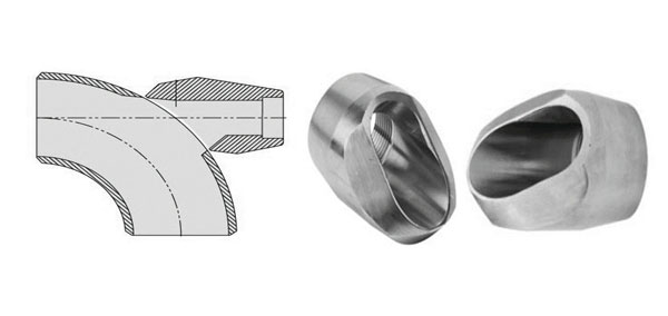 Elbolet Dimensions