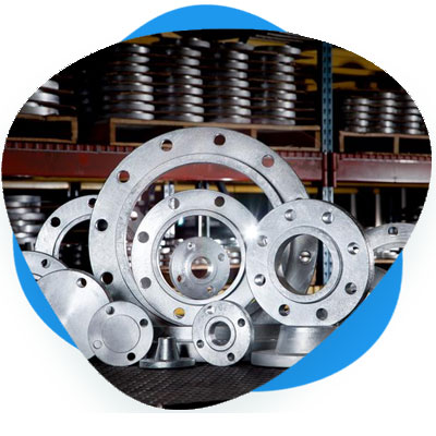 Stainless Steel Flanges