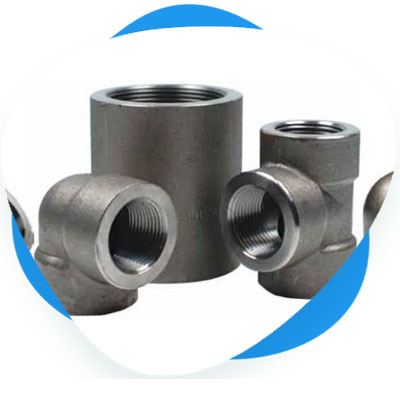 Stainless Steel Forged Fittings