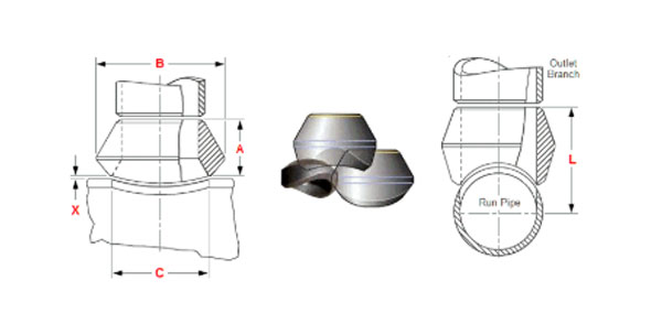 Weldolet Dimensions